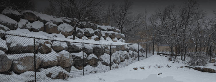 Black Vinyl Chainlink and Galvanized Chainlink Fencing